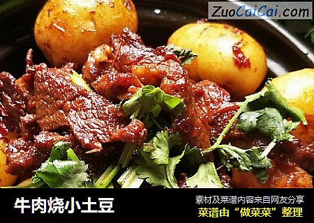 牛肉烧小土豆