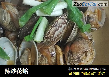 辣炒花蛤