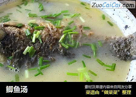 鲫鱼汤