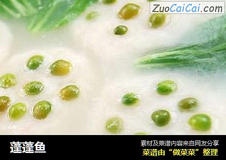 蓬蓬鱼