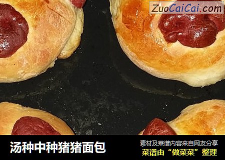 汤种中种猪猪面包