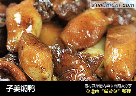 子姜焖鸭