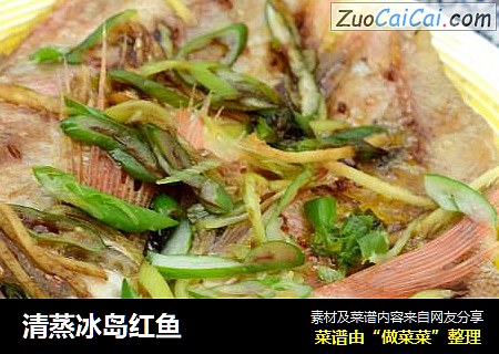清蒸冰岛红鱼