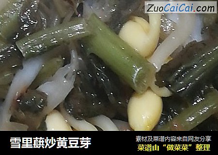 雪里蕻炒黄豆芽