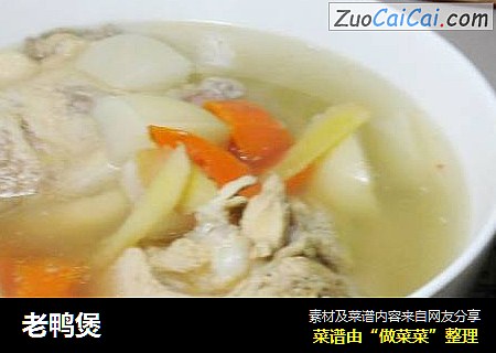 老鸭煲