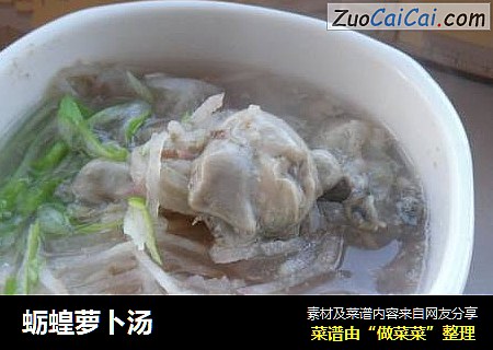 蛎蝗萝卜汤