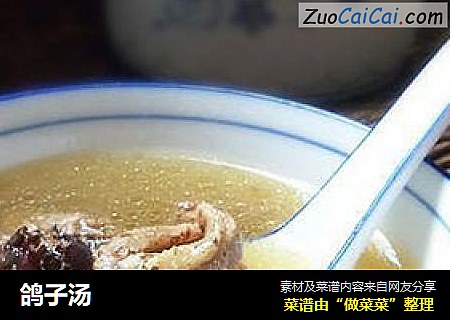 鸽子汤