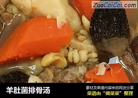 羊肚菌排骨汤