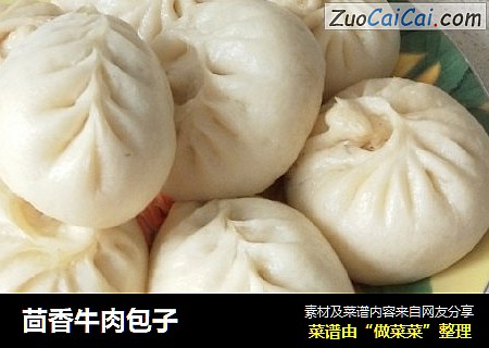 茴香牛肉包子