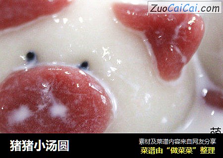 猪猪小汤圆