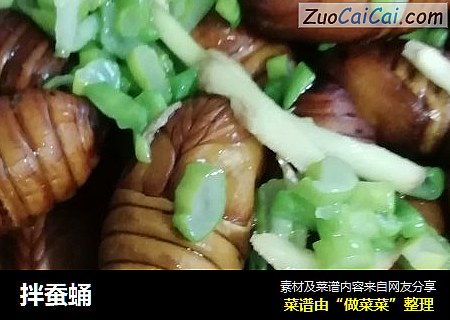 拌蚕蛹