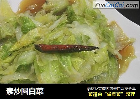 素炒圆白菜
