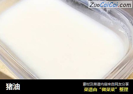 猪油