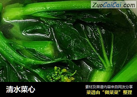 清水菜心