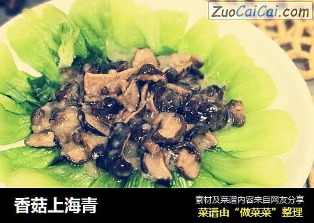 香菇上海青