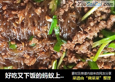好吃又下饭的蚂蚁上树新做法-一点辣椒和豆瓣酱都不用超级简单上手
