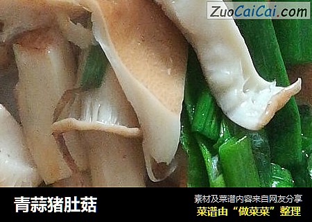 青蒜猪肚菇