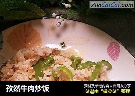 孜然牛肉炒饭