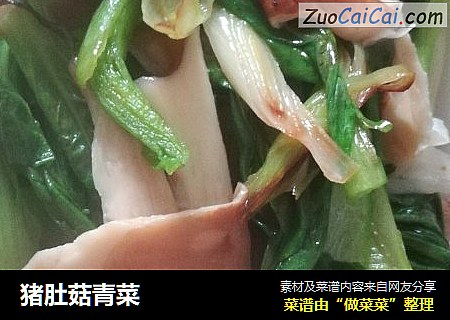 猪肚菇青菜