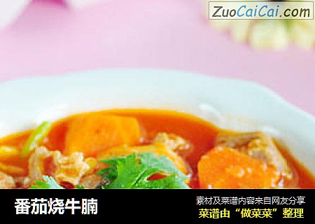 番茄烧牛腩