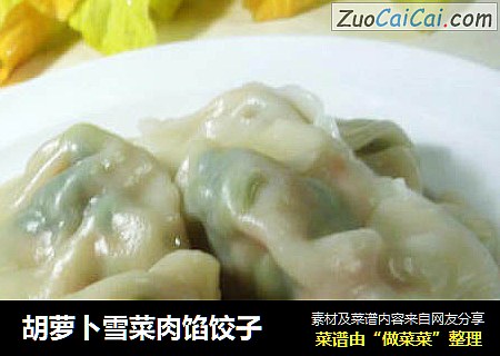 胡萝卜雪菜肉馅饺子