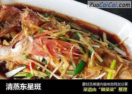 清蒸东星斑