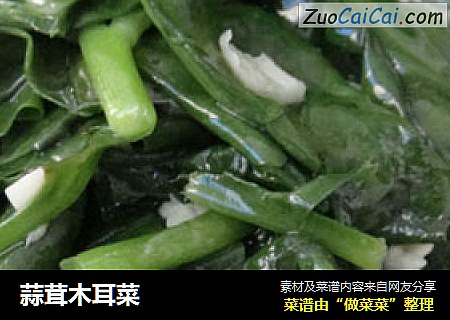 蒜茸木耳菜