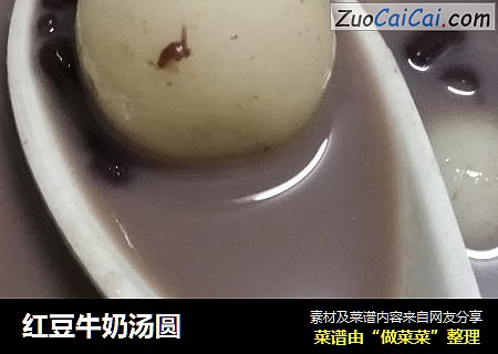 红豆牛奶汤圆