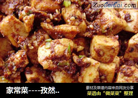 家常菜----孜然辣炒豆腐