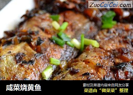 咸菜烧黄鱼