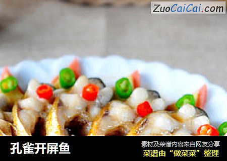 孔雀开屏鱼