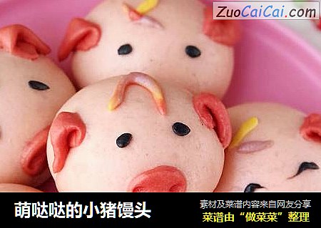 萌哒哒的小猪馒头
