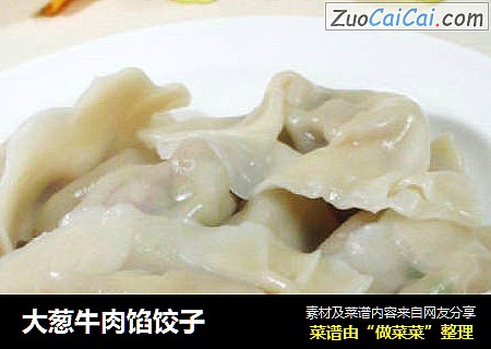 大葱牛肉馅饺子