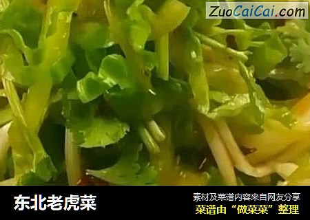 东北老虎菜