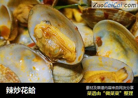 辣炒花蛤