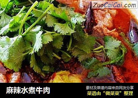 麻辣水煮牛肉
