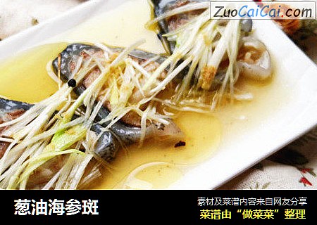 葱油海参斑