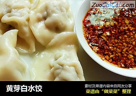 黄芽白水饺