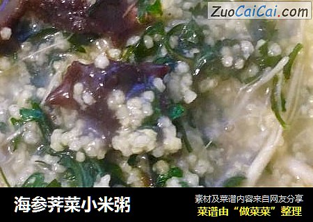 海参荠菜小米粥