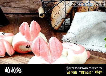 萌萌兔