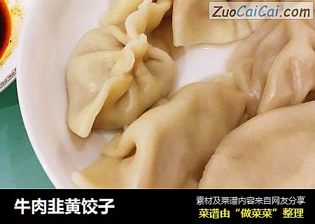 牛肉韭黄饺子