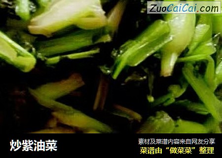 炒紫油菜