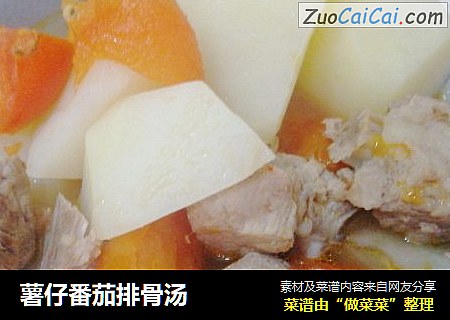 薯仔番茄排骨汤