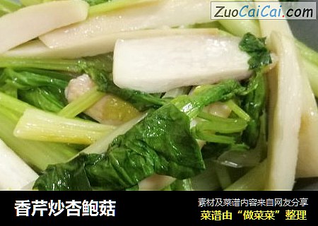 香芹炒杏鲍菇