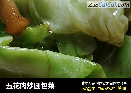 五花肉炒圆包菜