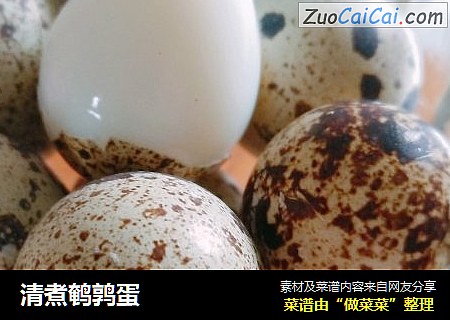 清煮鹌鹑蛋
