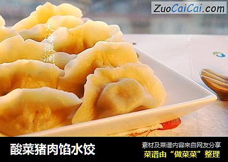 酸菜猪肉馅水饺