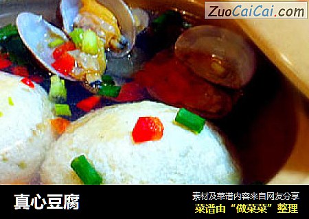 真心豆腐