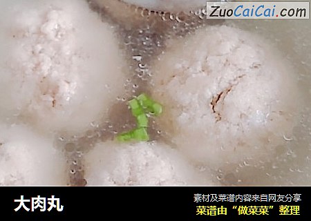 大肉丸