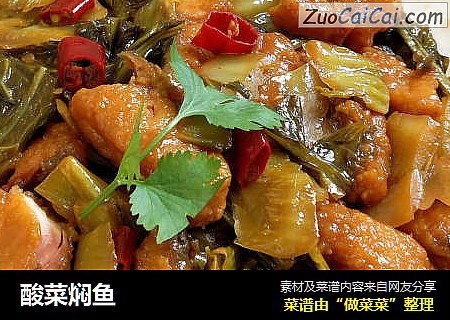 酸菜焖鱼